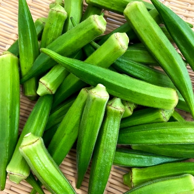 ≪先行受付≫【四国一小さなまちのオクラ】黒岩さん家のオクラ 10袋
