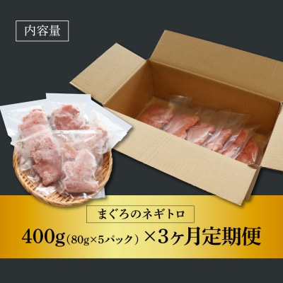 ～四国一小さなまち～≪カネアリ水産≫まぐろのネギトロ 400g(80g×5パック)★3ヶ月定期便★