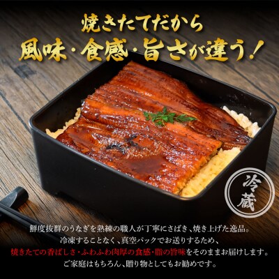 ≪土用丑の日までにお届け≫特選うなぎの蒲焼き3尾+ひつまぶし1袋【7/15入金分まで】