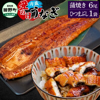 ≪土用丑の日までにお届け≫特選うなぎの蒲焼き6尾+ひつまぶし1袋【7/15入金分まで】