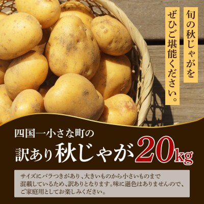 先行受付★令和6年11月中旬発送開始★大野台地で採れた『令和6年産 秋じゃがいも』20kg　訳あり
