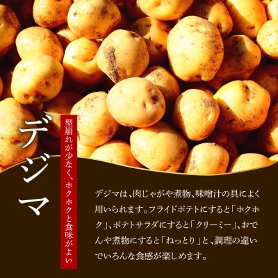 先行受付★令和6年11月中旬発送開始★大野台地で採れた『令和6年産 秋じゃがいも』 15kg