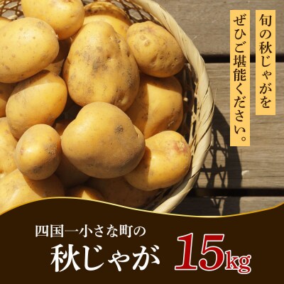 先行受付★令和6年11月中旬発送開始★大野台地で採れた『令和6年産 秋じゃがいも』 15kg
