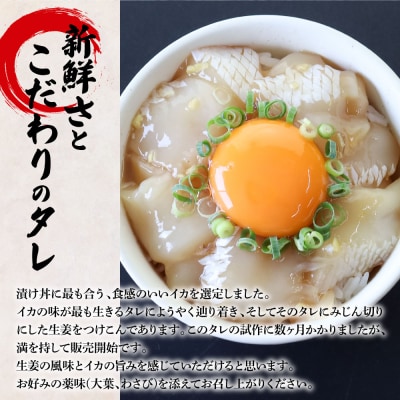 【四国一小さなまち】これが魚屋の漬け丼だ!～イカ～ 80g×12P