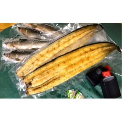 【土用丑の日:2024】≪7月24日までにお届け≫田野町産うなぎの白焼き2尾+天然鮎4匹★冷凍★