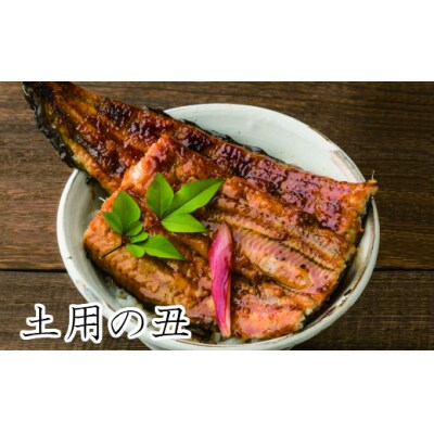 【土用丑の日:2024】≪7月24日までにお届け≫田野町産うなぎの蒲焼き 2尾★冷凍★