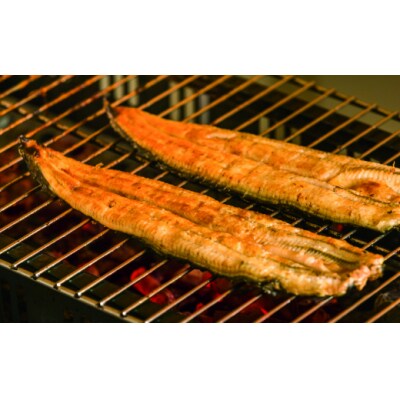 【土用丑の日:2024】≪7月24日までにお届け≫田野町産うなぎの蒲焼き 2尾★冷凍★
