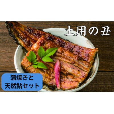 【土用丑の日(二の丑):2024】先行受付中≪8月5日までにお届け≫うなぎの蒲焼き2尾+天然鮎4匹