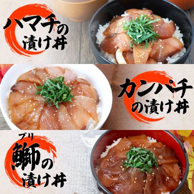 これが魚屋の漬け丼だ!海鮮5種食べ比べセット 80g×10P★訳あり★12ヶ月定期便 