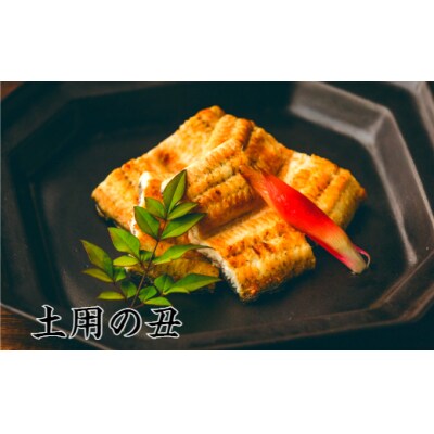 【土用丑の日(二の丑):2024】≪8月5日までにお届け≫田野町産うなぎの白焼き 2尾