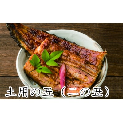 【土用丑の日(二の丑):2024】≪8月5日までにお届け≫田野町産うなぎの蒲焼き 2尾