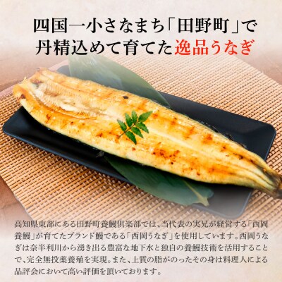 ★四国一小さなまち★田野町産うなぎのわっぱ飯 4個+田野町産うなぎの白焼き(大)2尾セット～冷凍～