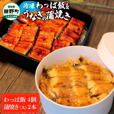 ★四国一小さなまち★田野町産うなぎのわっぱ飯 4個+田野町産うなぎの蒲焼き(大)2尾セット～冷凍～