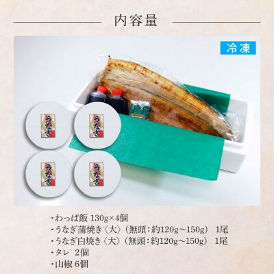 ★四国一小さなまち★田野町産うなぎのわっぱ飯4個+うなぎの蒲焼き(大)1尾+うなぎの白焼き(大)1尾