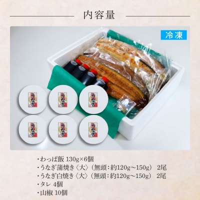 ★四国一小さなまち★田野町産うなぎのわっぱ飯6個+うなぎの蒲焼き(大)2尾+うなぎの白焼き(大)2尾