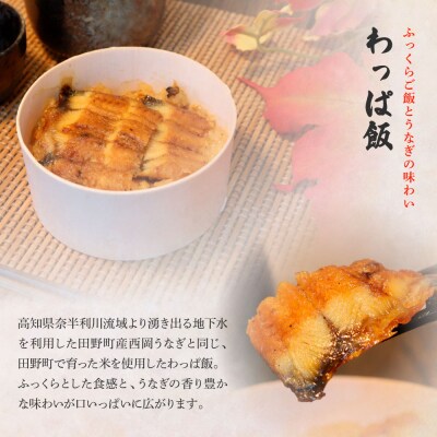 ★四国一小さなまち★田野町産うなぎのわっぱ飯6個+田野町産うなぎの白焼き(大)2尾