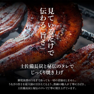 【四国一小さなまち】～ヤマシン～特選うなぎの蒲焼き(冷凍) 2尾★3ヶ月定期便★