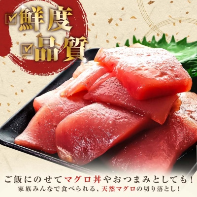 【四国一小さなまち】天然マグロ切り落とし 600g(冷凍)