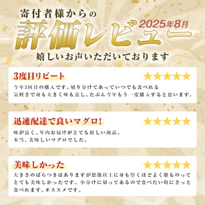 【四国一小さなまち】天然マグロ切り落とし 600g(冷凍)