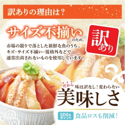 【四国一小さなまち】これが魚屋の漬け丼だ!～海鮮ミックス～80g×5パック