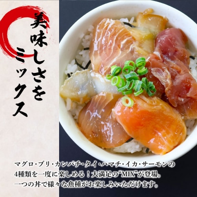 【四国一小さなまち】これが魚屋の漬け丼だ!～海鮮ミックス～80g×10パック