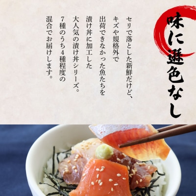 【四国一小さなまち】これが魚屋の漬け丼だ!～海鮮ミックス～80g×10パック