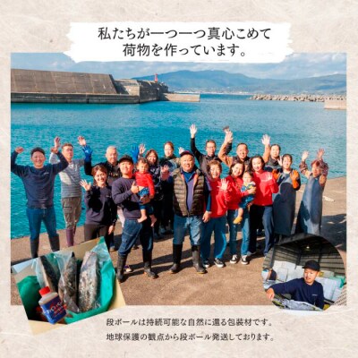 【四国一小さなまち】★訳あり★高知県産カツオのわら焼きタタキ(自家製タレ付)1kg～3ヶ月定期便～
