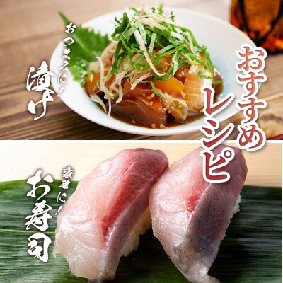 【四国一小さなまち】天然カンパチ 1.5~2kg 1尾(エラ・内臓除去済)