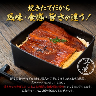 ヤマシン特選うなぎの蒲焼き 約130g×2尾 6ヶ月定期便