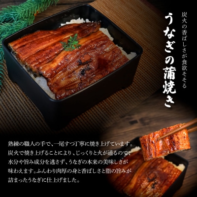 ヤマシン特選うなぎの蒲焼き 約130g×2尾 6ヶ月定期便