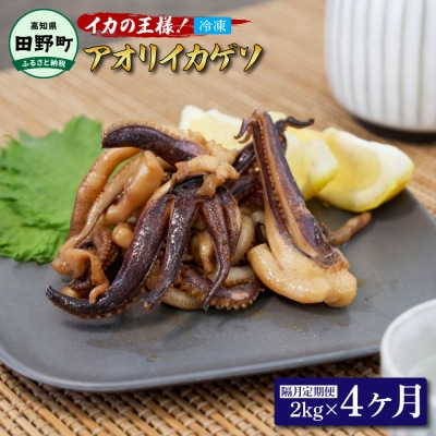 【四国一小さなまち】アオリイカのゲソ　2kg(500g×4パック)★4ヶ月定期便★隔月発送
