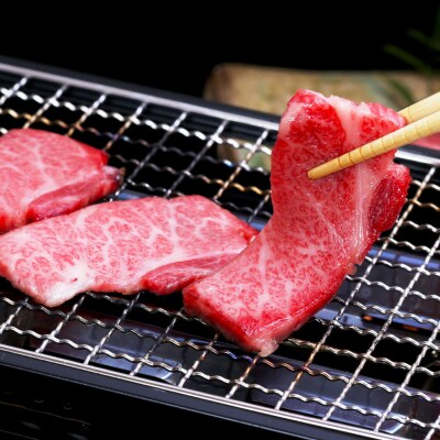 【四国一小さなまち】★土佐和牛★焼肉用　500g(500g×1パック)
