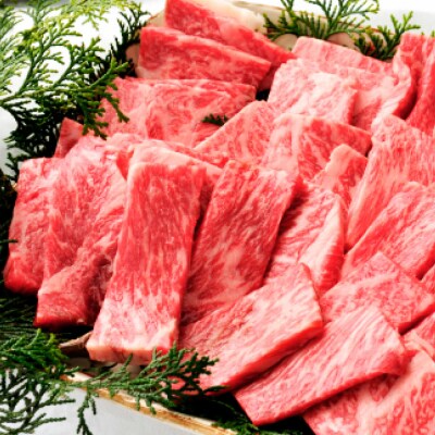 【四国一小さなまち】★土佐和牛★焼肉用　500g(500g×1パック)