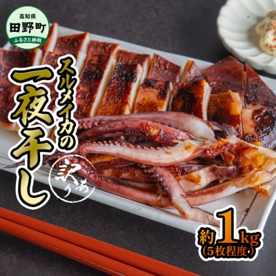 【四国一小さなまち】★訳あり★スルメイカの一夜干し　約1kg(5枚程度)　冷凍