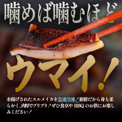 【四国一小さなまち】★訳あり★スルメイカの一夜干し　約1kg(5枚程度)　冷凍