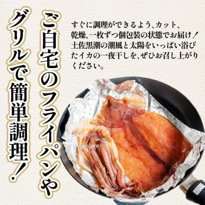 【四国一小さなまち】★訳あり★スルメイカの一夜干し　約1kg(5枚程度)　冷凍