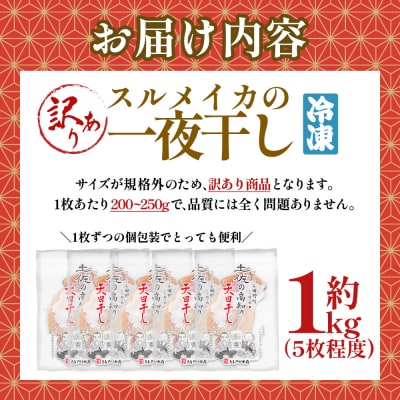 【四国一小さなまち】★訳あり★スルメイカの一夜干し　約1kg(5枚程度)　冷凍