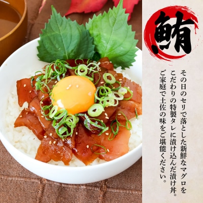 【四国一小さなまち】これが魚屋の漬け丼だ!鯛の漬け丼&マグロの漬け丼 80g×各5P★訳あり★