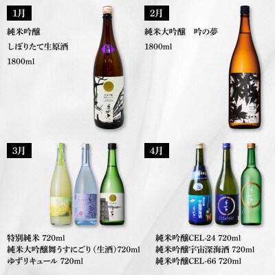 【四国一小さなまちの地酒】～2025年1月発送開始～美丈夫 12ヶ月定期便★毎月お届け★