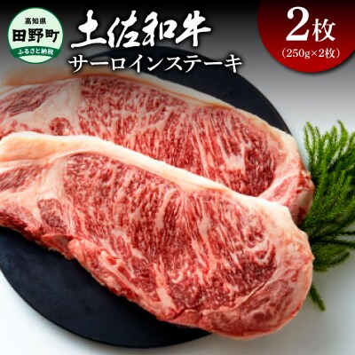 【四国一小さなまち】★土佐和牛★サーロインステーキ　2枚(250g×2枚)　計500g