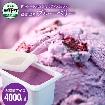 【四国一小さなまちのアイス屋さん】≪松崎冷菓≫大容量アイス 4000ml ★ブルーベリー★