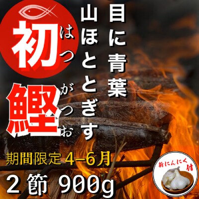 ★数量限定★ 令和7年≪ヤマシン≫ 初鰹のわら焼きタタキ 2節 ※新にんにく1玉付き※ 