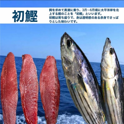 ★数量限定★≪ヤマシン≫ 初鰹のわら焼きタタキ1節 ※新にんにく1玉付き※