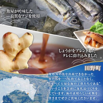 【四国一小さなまち】これが魚屋の漬け丼だ!～アジ～ 80g×10P