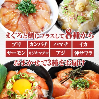 これが魚屋の漬け丼だ!魚屋のおまかせ5種漬け丼セット(鮪+鯛+おまかせ3種) 5種×2P(80g)