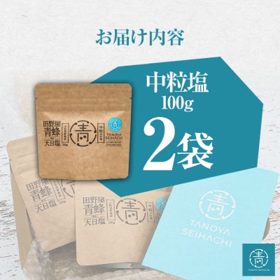 【四国一小さなまちのお塩】 塩職人 田野屋青蜂　完全天日塩中粒 2袋セット 