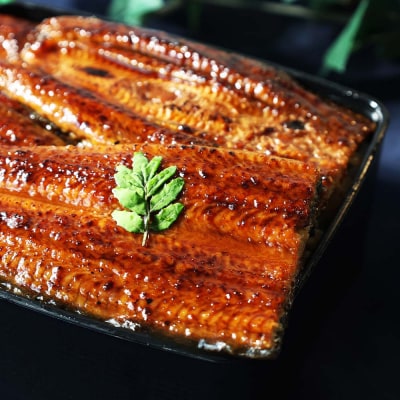 鰻 きざみうなぎ(80g×6P)+蒲焼き1尾 カット済み 蒲焼 蒲焼き かば焼き 刻み 鰻 ウナギ 