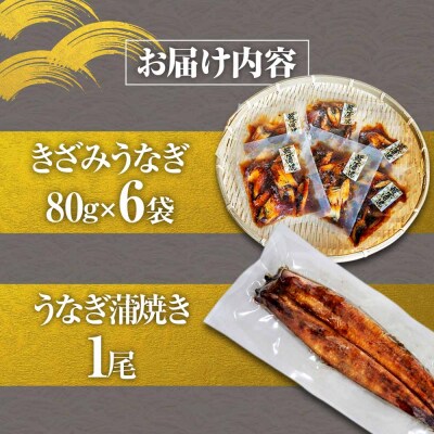 鰻 きざみうなぎ(80g×6P)+蒲焼き1尾 カット済み 蒲焼 蒲焼き かば焼き 刻み 鰻 ウナギ 