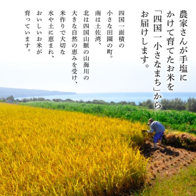 ★令和7年産 新米★四国一小さなまちの田野米 15kg(5kg×3袋)～精米・白米～