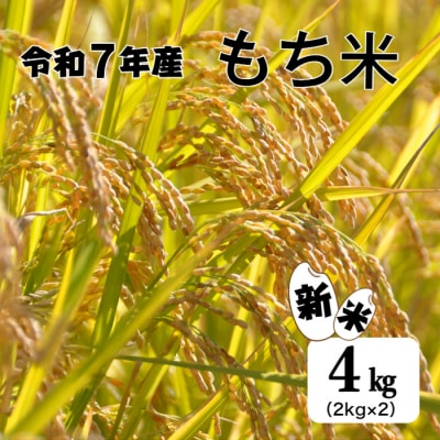 ≪数量限定≫ 【四国一小さなまちのもち米】 令和7年産 『 もち米 』 4kg( 2kg × 2袋 